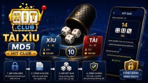 Tìm hiểu trò chơi Tài xỉu MD5 HIT CLUB